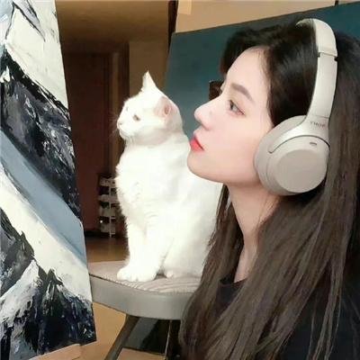 完美陌生人